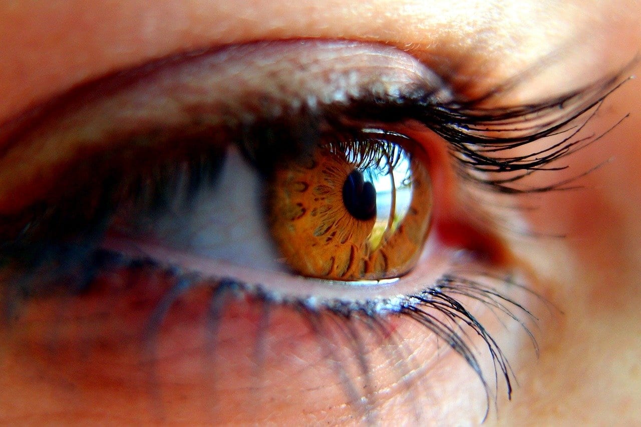 Lower Lash Extensions
